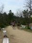 gal/Duathlon Saint-Jean de Monts/_thb_P1050561.JPG